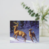 Whitetail Deer Buck & Doe in wintersneeuw Briefkaart (Staand voorkant)
