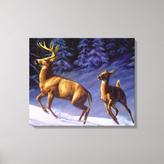 Whitetail Deer Buck & Doe in wintersneeuw Canvas Afdruk