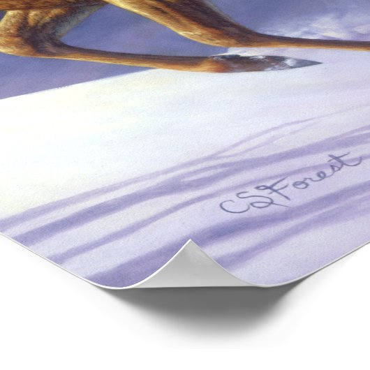 Whitetail Deer Buck & Doe in wintersneeuw Poster (Hoek)