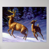 Whitetail Deer Buck & Doe in wintersneeuw Poster (Voorkant)