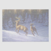 Whitetail Deer Buck & Doe in wintersneeuw Tissuepapier (Voorkant)