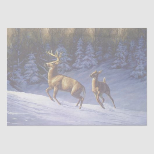 Whitetail Deer Buck & Doe in wintersneeuw Tissuepapier (Voorkant)