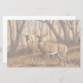 Whitetail Deer Buck & Doe Naherfst Maple Bossen Briefpapier (Voorkant / Achterkant)
