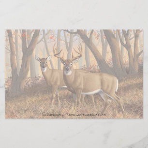 Whitetail Deer Buck & Doe Naherfst Maple Bossen Briefpapier