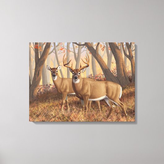 Whitetail Deer Buck & Doe Naherfst Maple Bossen Canvas Afdruk (Voorkant)