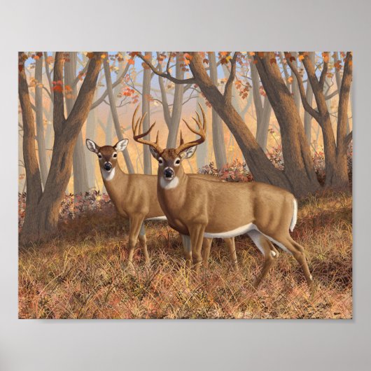 Whitetail Deer Buck & Doe Naherfst Maple Bossen Poster (Voorkant)
