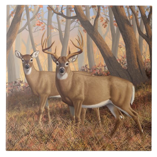 Whitetail Deer Buck & Doe Naherfst Maple Bossen Tegeltje (Voorkant)