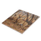 Whitetail Deer Buck & Doe Naherfst Maple Bossen Tegeltje (Zijkant)