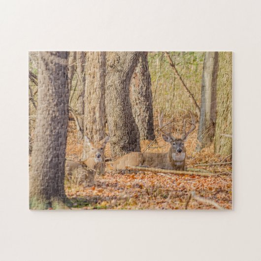 Whitetail Deer Buck en Doe Legpuzzel (Horizontaal)