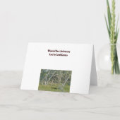 Whitetail Deer Buck Jubileum Kaart (Achterkant)