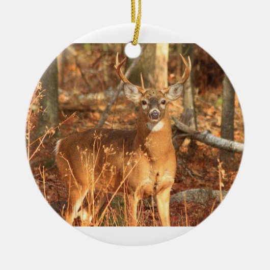 Whitetail Deer Buck Keramisch Ornament (Voorkant)