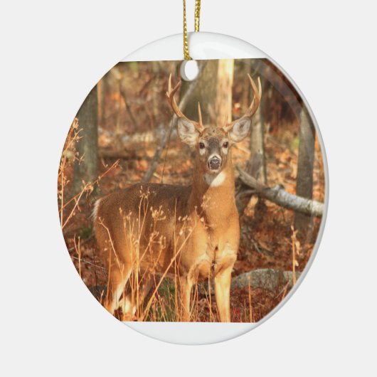 Whitetail Deer Buck Keramisch Ornament (Links)