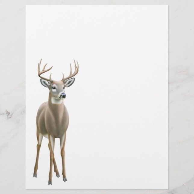 Whitetail Deer Buck Letterhead (Voorkant)