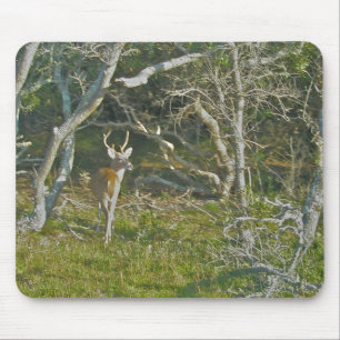 Whitetail Deer Buck OBX Mousepad Muismat