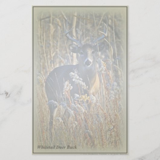 Whitetail Deer Buck Stationery Briefpapier (Voorkant)