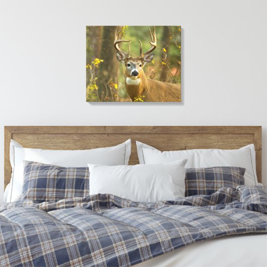 Whitetail Deer Buck | Whitefish, Montana Canvas Afdruk (Insitu (Slaapkamer))