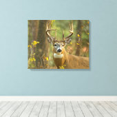 Whitetail Deer Buck | Whitefish, Montana Canvas Afdruk (Insitu (Houten vloer))