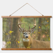 Whitetail Deer Buck | Whitefish, Montana Hangend Wandkleed (Voorkant)