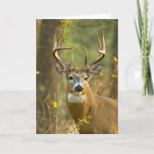 Whitetail Deer Buck | Whitefish, Montana Kaart (Voorkant)