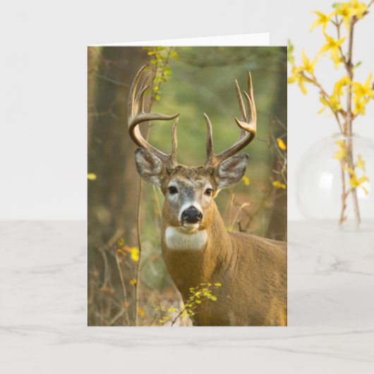 Whitetail Deer Buck | Whitefish, Montana Kaart (Gele Bloem)
