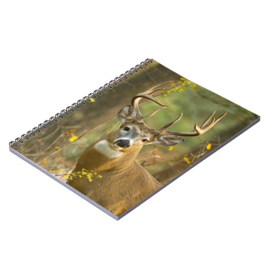 Whitetail Deer Buck | Whitefish, Montana Notitieboek (Linkerzijde)