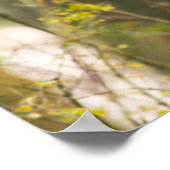 Whitetail Deer Buck | Whitefish, Montana Poster (Hoek)