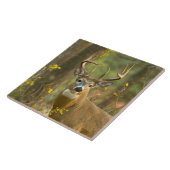 Whitetail Deer Buck | Whitefish, Montana Tegeltje (Zijkant)