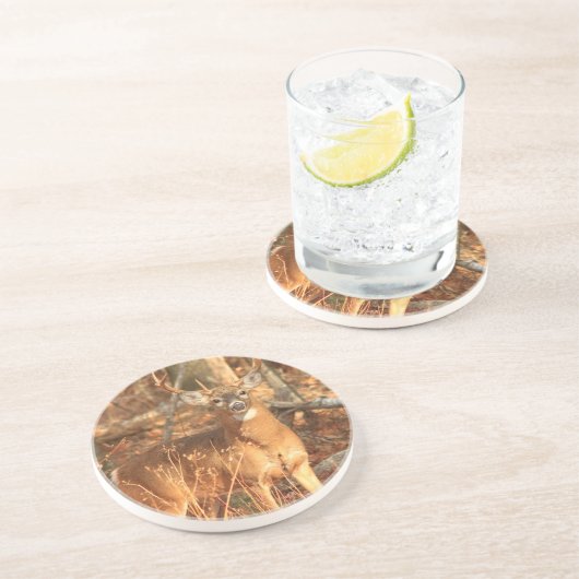 Whitetail Deer Buck Zandsteen Onderzetter (Zijkant)