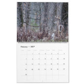 Whitetail Deer Bucks Kalender (Feb 2027)