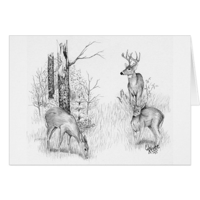 Whitetail Deer Card (Voorkant Horizontaal)