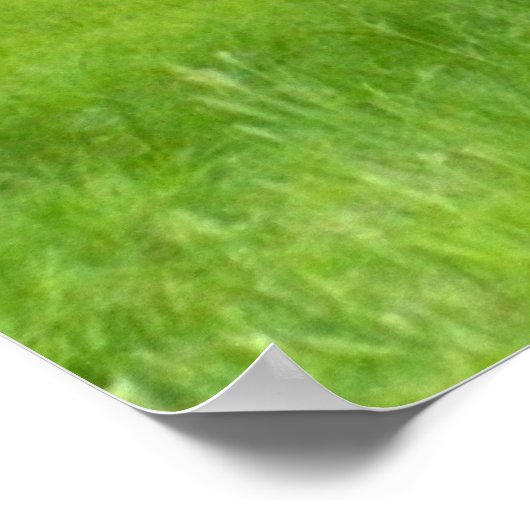 WhiteTail Deer (Doe and Fawn) Poster (Hoek)