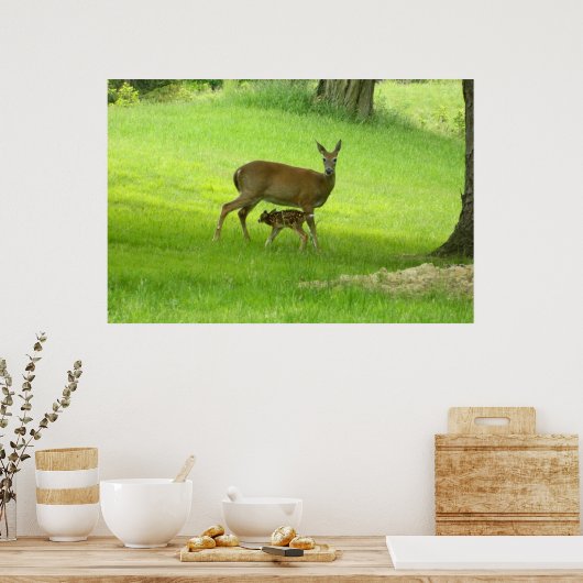 WhiteTail Deer (Doe and Fawn) Poster (Keuken)