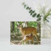 Whitetail Deer - Doe en Fawn Briefkaart (Staand voorkant)
