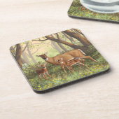 Whitetail Deer en Cute Twin Fawns in Spring Onderzetter (Linkerzijde)