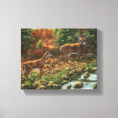 Whitetail Deer en Waterfall Canvas Afdruk (Voorkant)