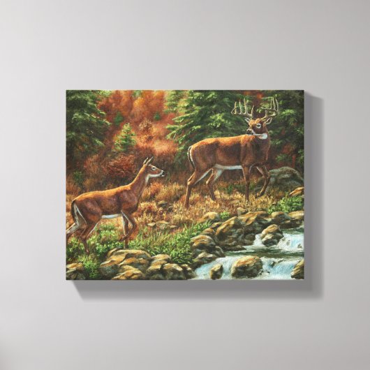 Whitetail Deer en Waterfall Canvas Afdruk (Voorkant)
