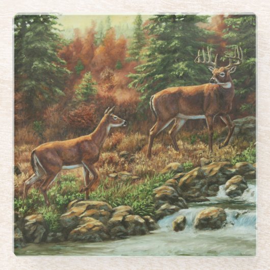 Whitetail Deer en Waterfall Glazen Onderzetter (Voorkant)