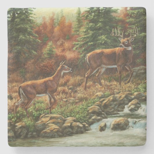 Whitetail Deer en Waterfall Stenen Onderzetter (Voorkant)
