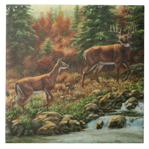 Whitetail Deer en Waterfall Tegeltje