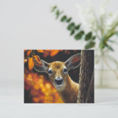 Whitetail Deer Face Fall Colors Briefkaart (Staand voorkant)