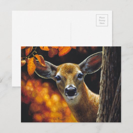 Whitetail Deer Face Fall Colors Briefkaart (Voorkant / Achterkant)