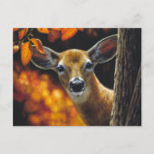Whitetail Deer Face Fall Colors Briefkaart (Voorkant)
