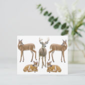 Whitetail Deer Family Briefkaart (Staand voorkant)