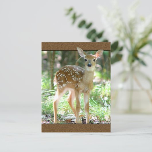 Whitetail Deer Fawn Briefkaart (Staand voorkant)