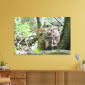 Whitetail Deer Fawn (de Verplette Druk van het Can Canvas Afdruk (Insitu (Woonkamer))