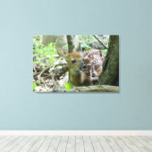 Whitetail Deer Fawn (de Verplette Druk van het Can Canvas Afdruk (Insitu (Houten vloer))
