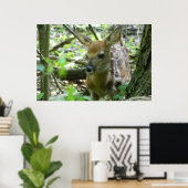 Whitetail Deer Fawn (in de Bossen) Poster (Thuiskantoor)
