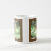 Whitetail Deer Fawn Mok (Center)