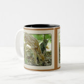 Whitetail Deer - Fawn Mok 2 (Voorkant links)