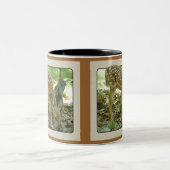 Whitetail Deer - Fawn Mok 2 (Center)